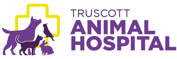 Mississauga Animal Hospital